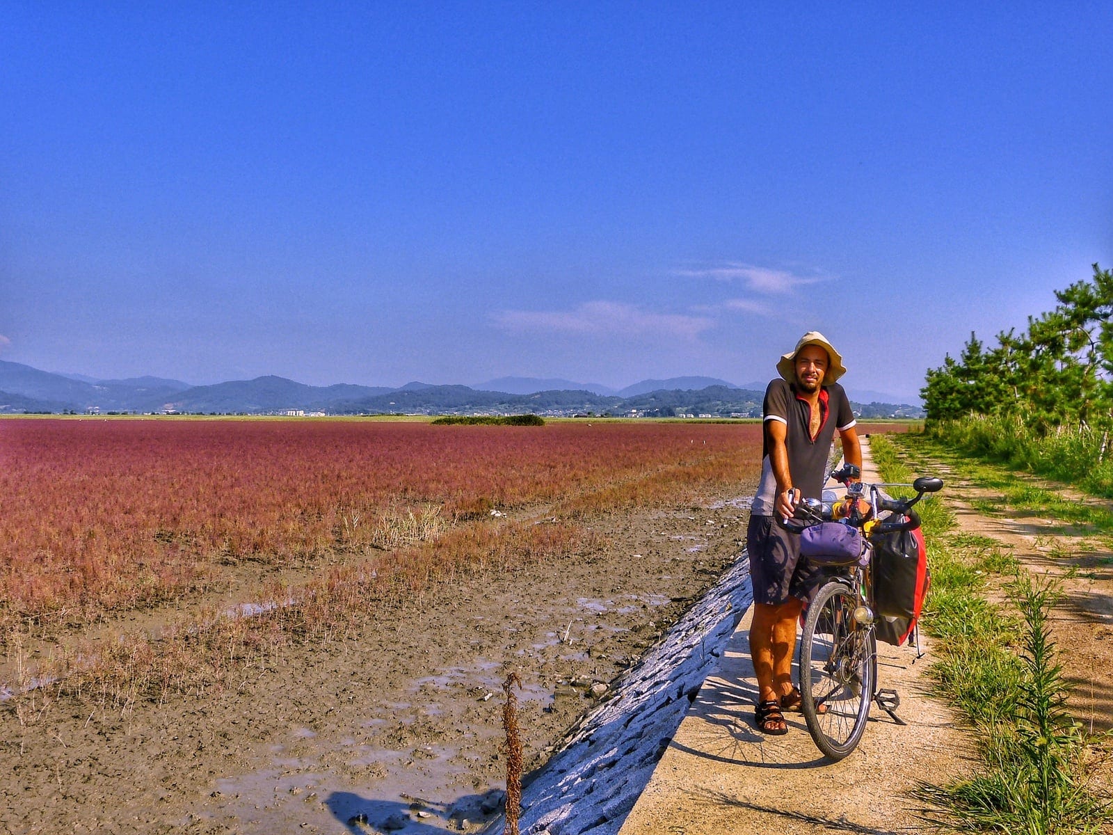 cycling south korea